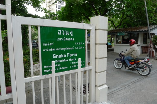 Snake Farm, 10 minute walk from Montien.