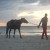 Horseback Riding is Offered on the Beach
