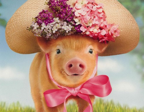 You don't have to dress the pig up but if you choose to it is simply precious!! Who can resist this little piggy????