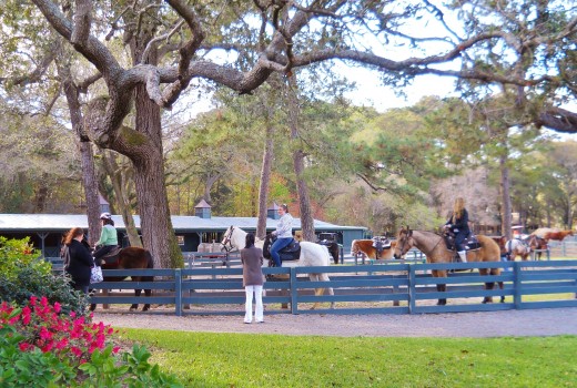 Riders at Lawton Stables in Sea Pines Plantation getting ready to go through the forest preserve.