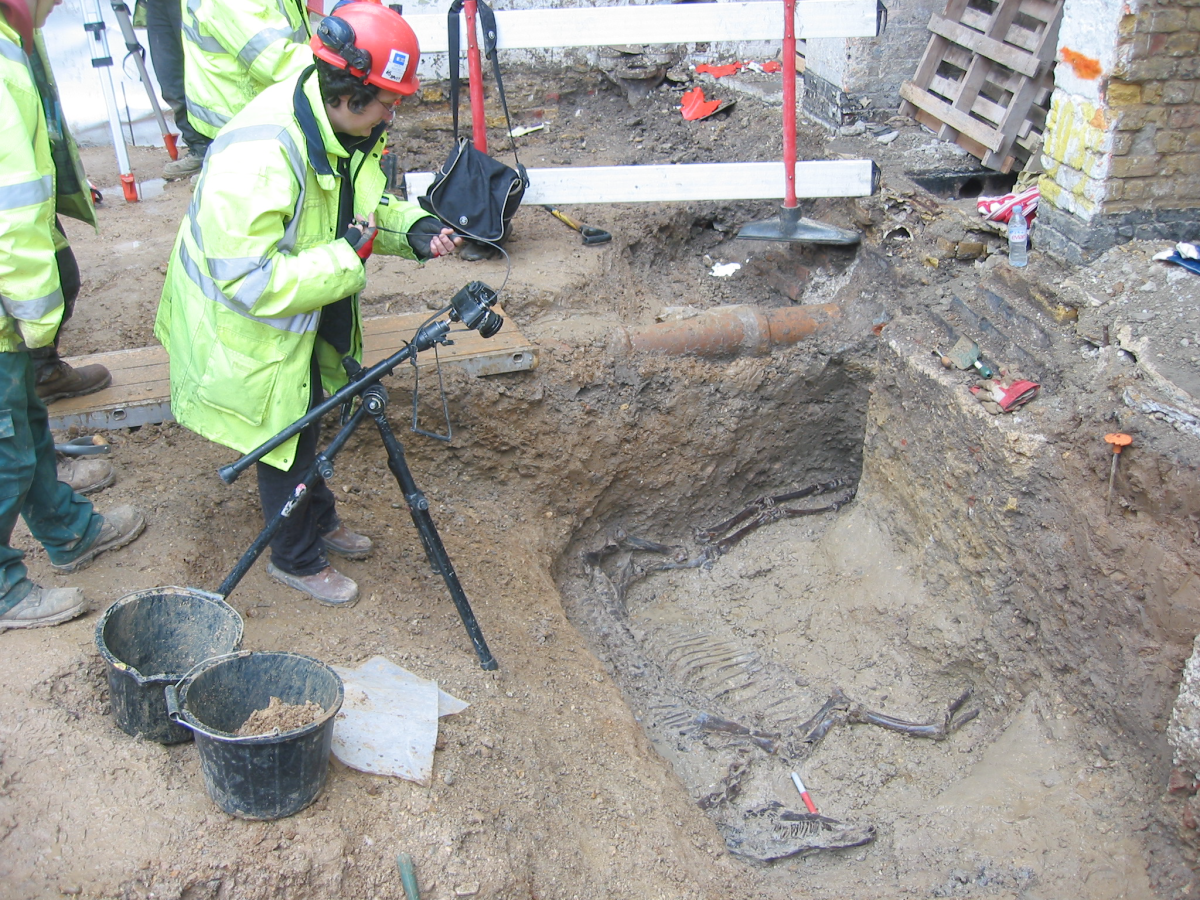 Archaeological photographer and horse burial in re-cut ditch