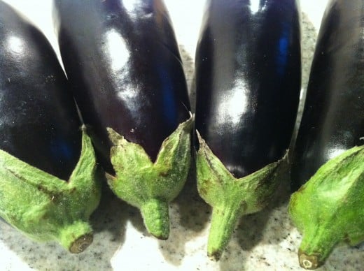 Eggplant most found in Europe and America