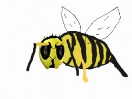 https://usercontent2.hubstatic.com/6278807_f260.jpg
