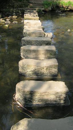 Scenes from nature make great topics for haiku