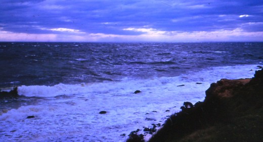 The Wild Sea
