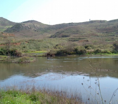 Erjos ponds. Photo by Steve Andrews
