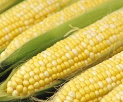 Corn is another starchy food.