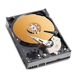 A typical (though an old-style IDE) hard drive