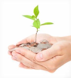 Planting your money into savings will help your money grow