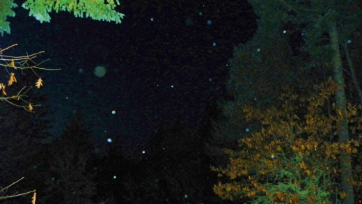 Orb images  mixed with hail. Cold and mostly clear evening.