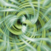 Viraldomain profile image