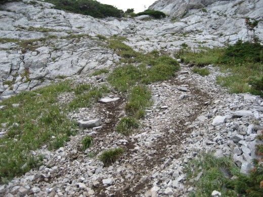 Yes. That is a trail...in the Rocky Mountains in Alberta, Canada.