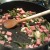 Adding the green beans and chopped ham Adding the green beans and chopped ham