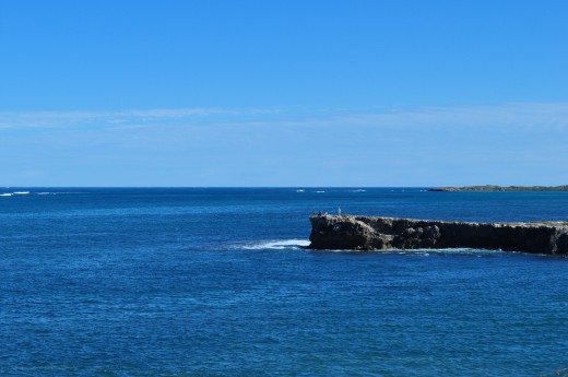 kitchen and the only sign that people knew or cared about this windswept island. Here, Sarah, between catching lobsters almost as big as she was, listened to tall tales and true stories of dangerous and murderous sealers, kidnapping, 