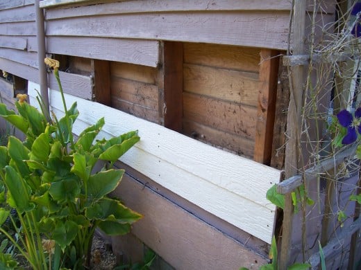 Replacing siding (note the lack on insulation-- my next big project!)