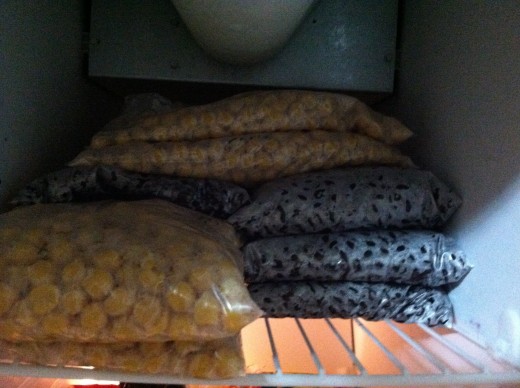 Beans separate into freezer bags and stored in the freezer for later use