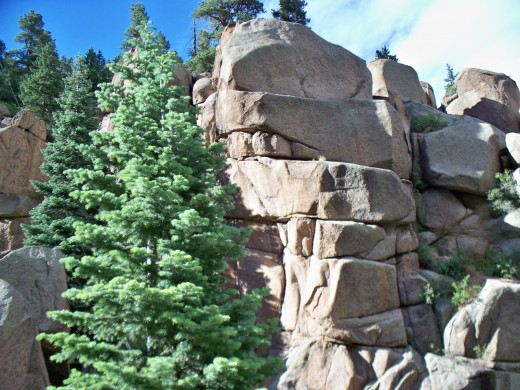 More rocks and trees