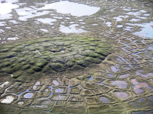 In Northern Canada, the natural polygons in the foreground are formed by alternate melting and refreezing of the permafrost.