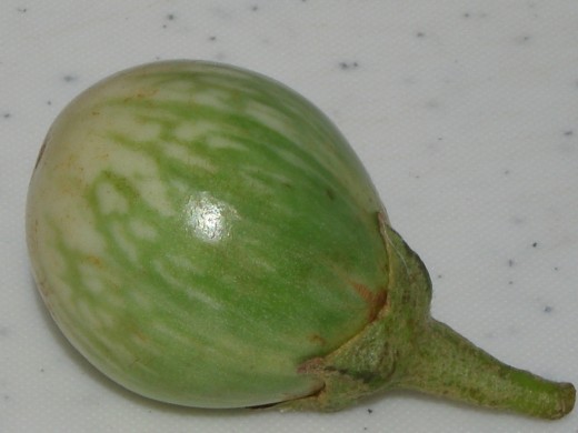 Thai eggplant