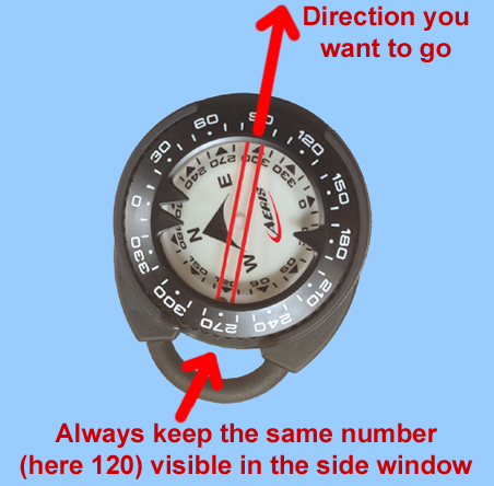 Compass- helps the diver to locate areas underwater and move from one location to another without breaking the surface.