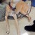 Greyhound Greyhound