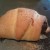 Finished mini french dip sandwich Finished mini french dip sandwich