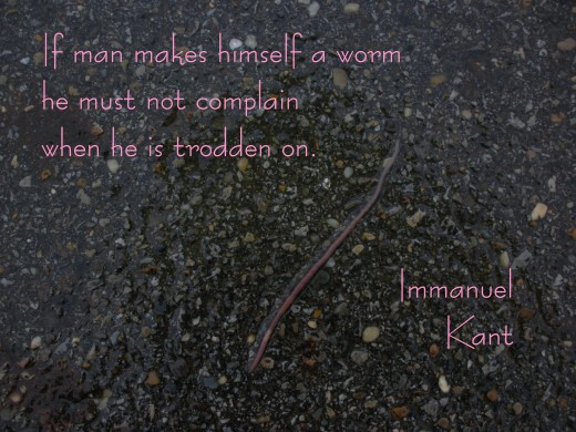 Maybe I should have chosen a more positive quotation for my worm photo, such as "The early bird catches the worm," but that doesn't bode well for the poor worm either.