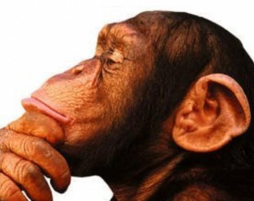 Do We Need Language to Think? Do We Need Language to Think?