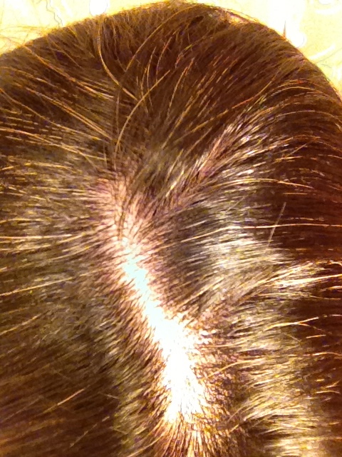 Temporary hair dyes DO NOT cover gray hair.