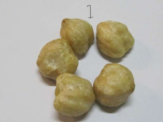 Kemiri (candlenut)