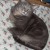 Next up is Dusty, weighing in at 19 pounds. Next up is Dusty, weighing in at 19 pounds.