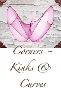 Corners, Kinks and Curves