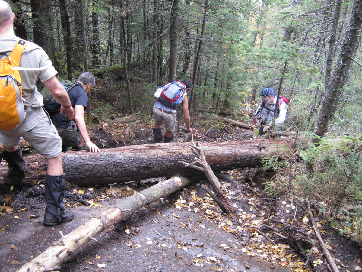 Watch your step!  Falls are a major cause of hiking injuries.  