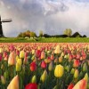 wtraveladvisor profile image