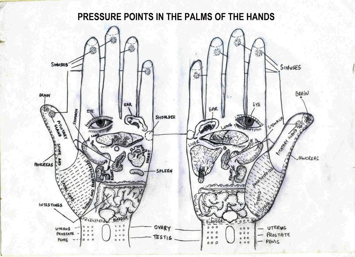 Palm Acupressure Points Chart
