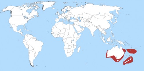 Locations of Toadfish throughout Australian waters