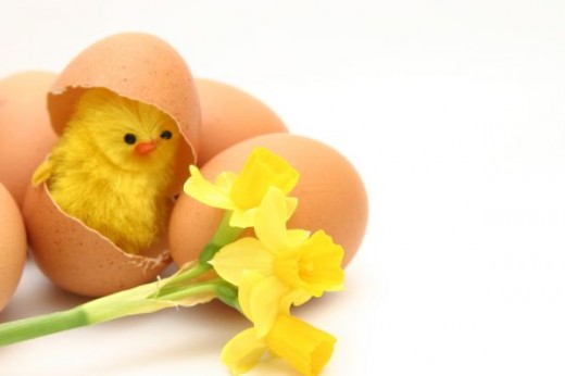 Easter Photo