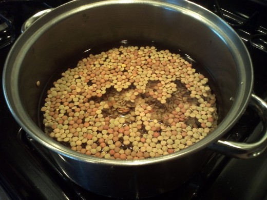 Step One:  Cook Lentils