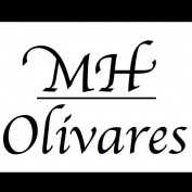 MH Olivares profile image