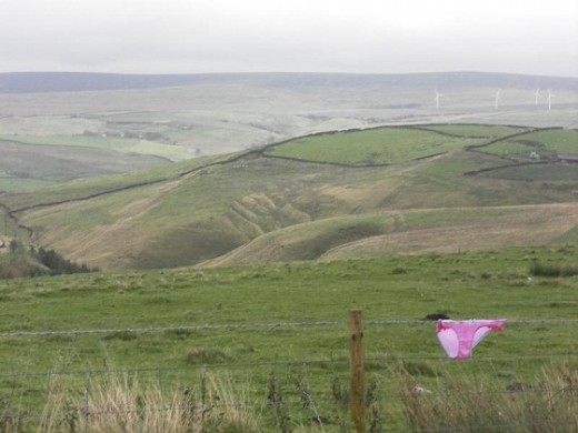 Pink Pants with a view towards Coal Clough Wind Farm from Crown Point Road, 
