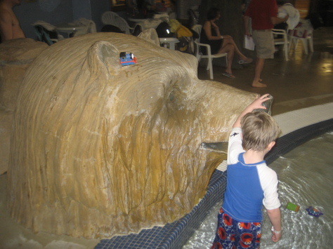 kid standing near bear