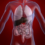 colon cleanse profile image