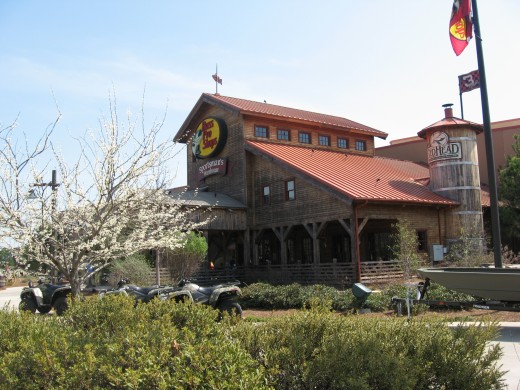 There are numerous Bass Pro Shop locations across the Southeast. 