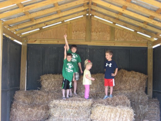 The kids enjoyed playing in the hay.