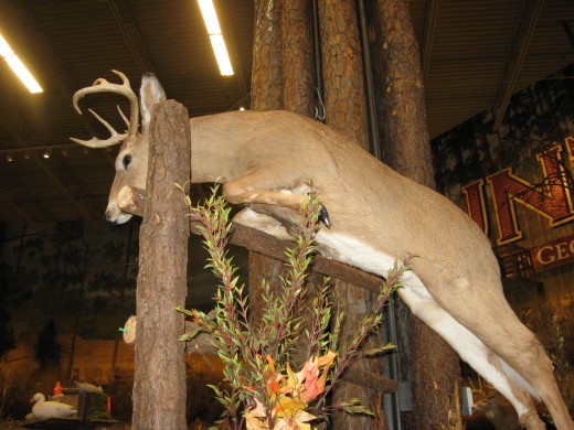 A mount in the hunting gear section.