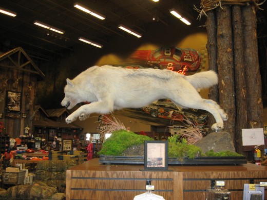Another mount in hunting supplies.