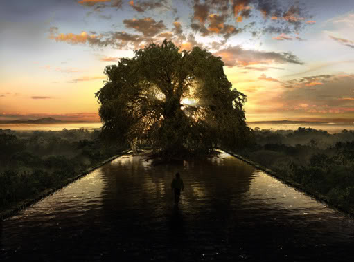 Shot From Tree of Life