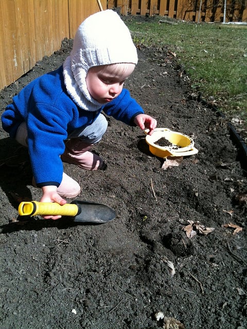 Even the smallest child can enjoy the gardening experience.