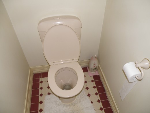 Expect lots of restroom breaks