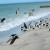 Madeira Beach Madeira Beach